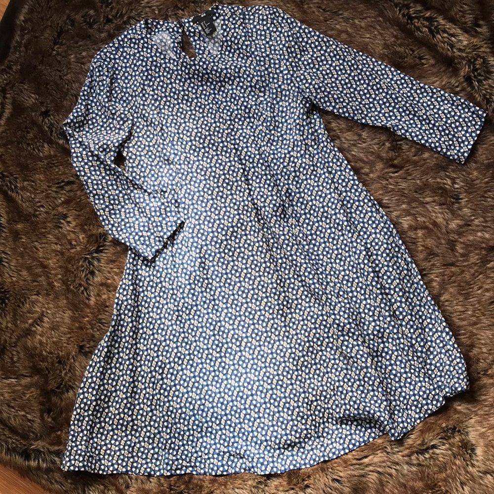 H&M Swing Dress